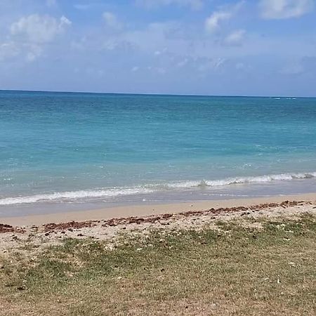 Ohana Guest House Port Mathurin 外观 照片