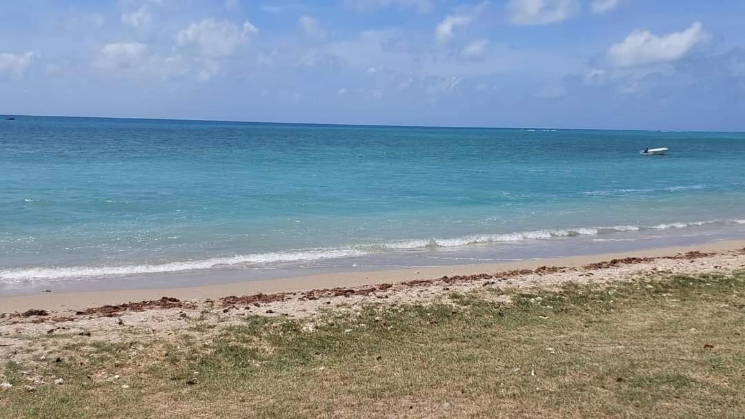 Ohana Guest House Port Mathurin 外观 照片